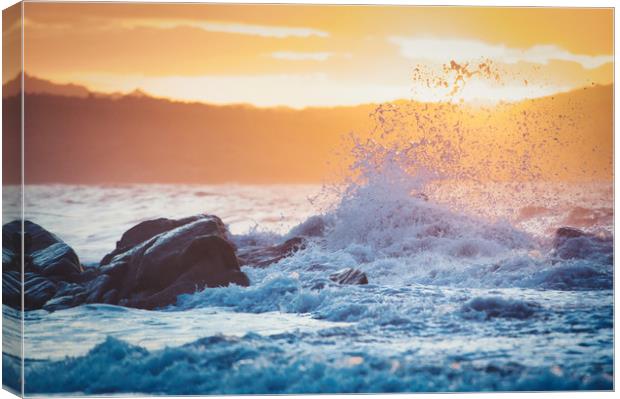 wave breaking on the rocks at sunset Canvas Print by federico stevanin