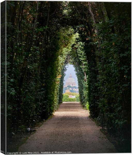 View of the Vatican Basilica through a tree path in Rome, Italy Canvas Print by Luis Pina
