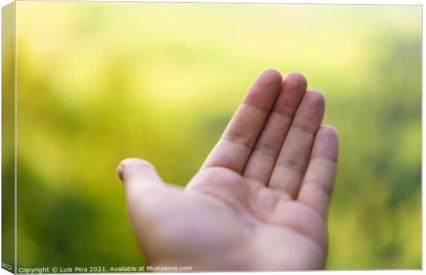Empty Hand with blurred bokeh landscape background Canvas Print by Luis Pina