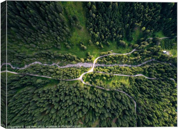 Aerial Drone view of trees from the top on a forest on the Italian Dolomites Alps in Santa Magdalena Canvas Print by Luis Pina