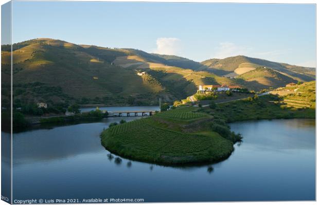 Douro wine valley region s shape bend river in Quinta do Tedo at sunset, in Portugal Canvas Print by Luis Pina