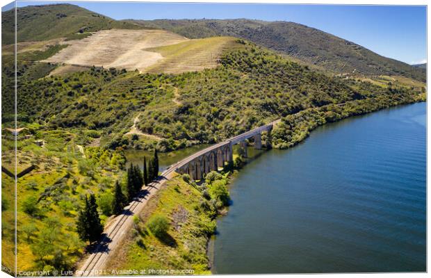 Bridge drone view like Harry Potter movie in Douro River Region, in Portugal Canvas Print by Luis Pina