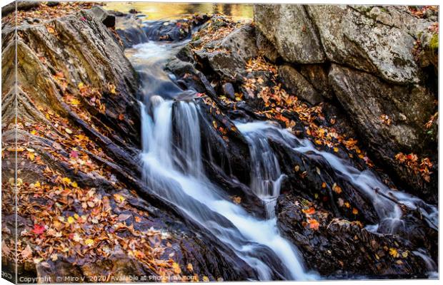 Autumn waterfalls Canvas Print by Miro V