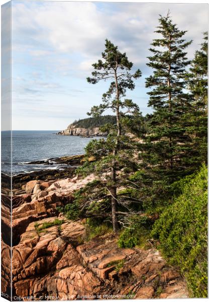 View from Acadia National Park in Summer with ocea Canvas Print by Miro V