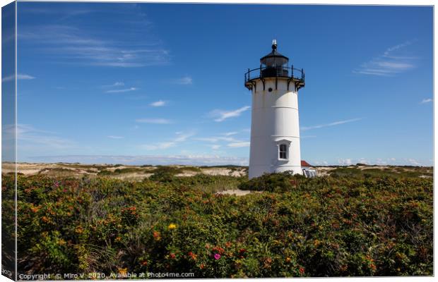 Race Point lighthouse in Provincetown Canvas Print by Miro V