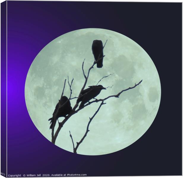 Crows in tree under a full blue moon Canvas Print by William Jell