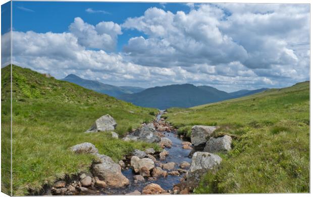 The Stream to Nowhere Canvas Print by Nathalie Naylor