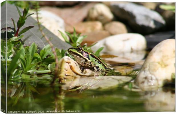 Frog Canvas Print by  Bullysoft