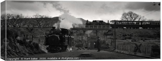 Fairlies at Dduallt. Canvas Print by mark baker