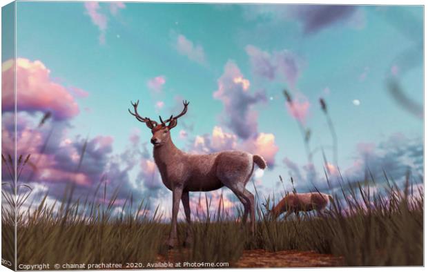 Deer in grass field at sunset or sunrise,3d illust Canvas Print by chainat prachatree