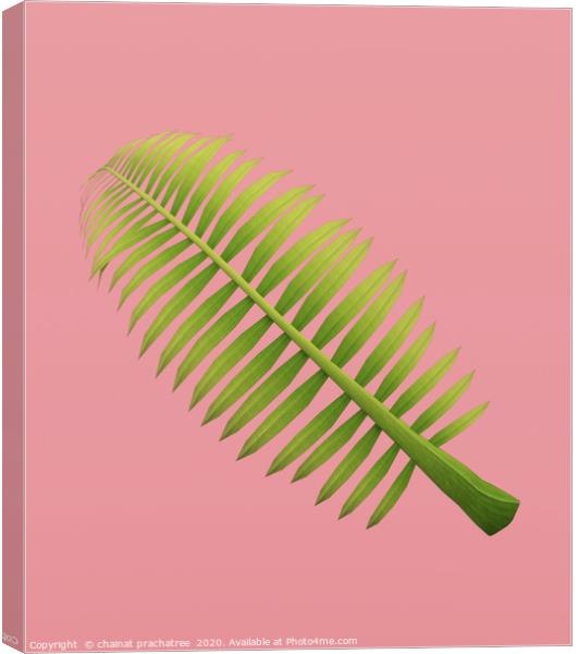 Palm frond on pastel color background,3d rendering Canvas Print by chainat prachatree