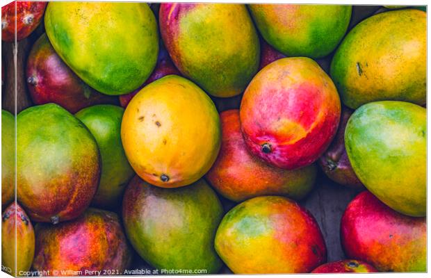 Yellow Red Orange Green Mangos Florida Canvas Print by William Perry