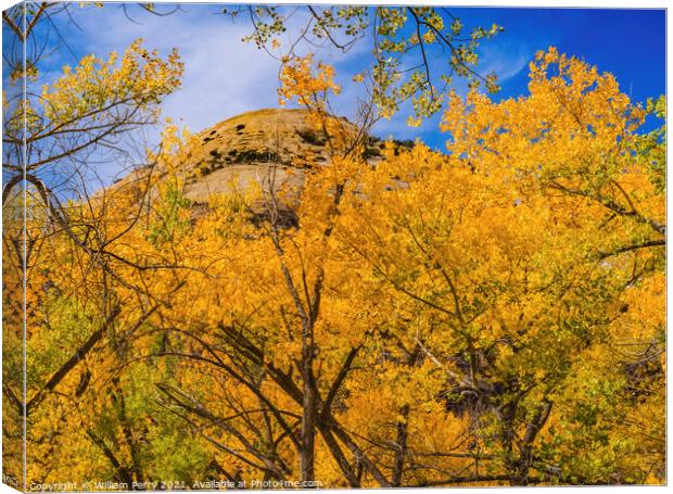 Yellow Cottonwood Trees White Rock Mountain Canyonlands Needles  Canvas Print by William Perry