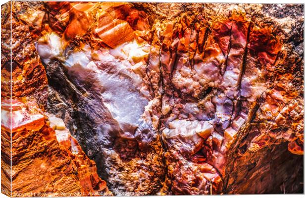 Petrified Wood Rock Abstract National Park Arizona Canvas Print by William Perry