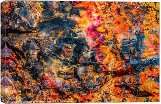 Petrified Wood Rock Log Abstract National Park Arizona Canvas Print by William Perry