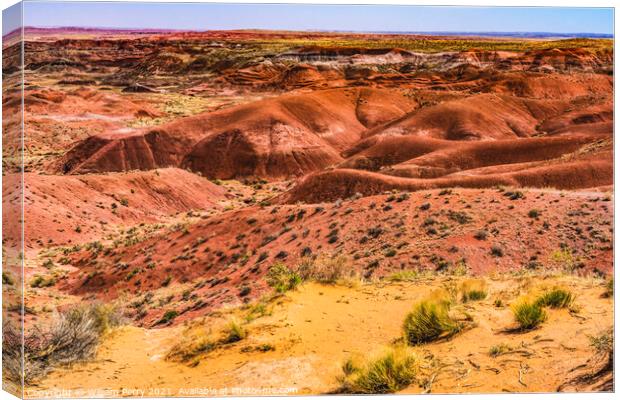 Tiponi Point Painted Desert Petrified Forest National Park Arizo Canvas Print by William Perry