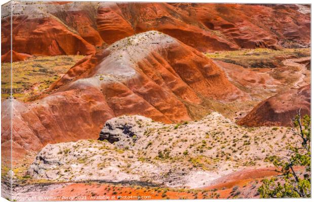 Tawa Point Painted Desert Petrified Forest National Park Arizona Canvas Print by William Perry