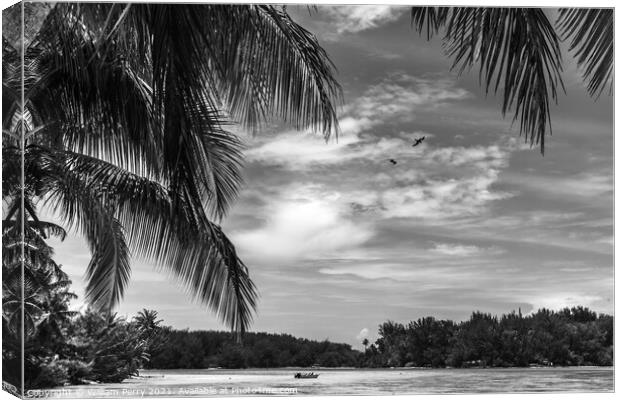 Black White Palm Trees Islands Boat Blue Water Moorea Tahiti Canvas Print by William Perry