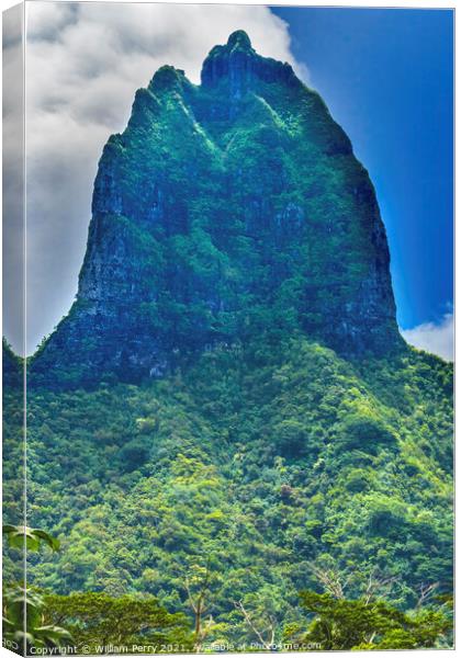 Colorful Mount Tohivea Highest Mountain Moorea Tahiti Canvas Print by William Perry