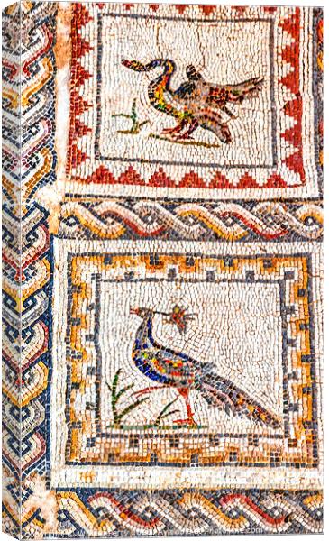 Colorful Ancient Birds Mosaic Italica Roman City Seville Andalus Canvas Print by William Perry