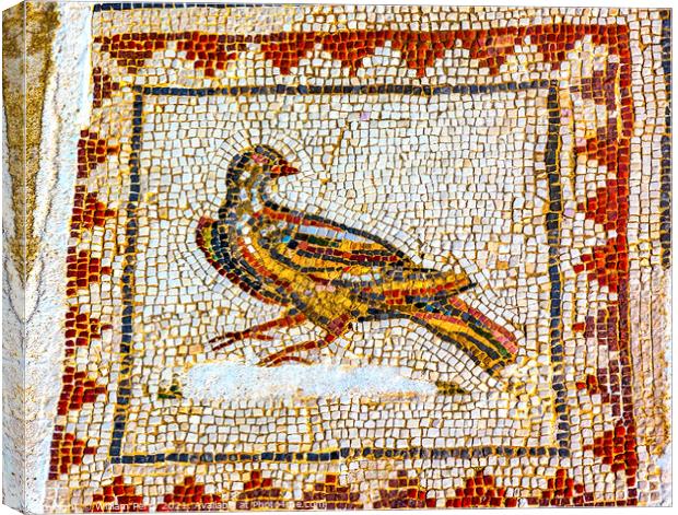 Colorful Ancient Bird Mosaic Italica Roman City Seville Andalusi Canvas Print by William Perry