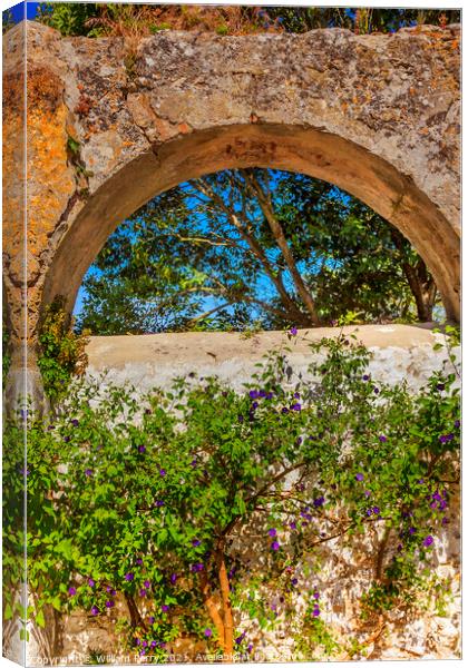 Ancient Usseira Aqueduct Blue Flowers Obidos Portugal Canvas Print by William Perry