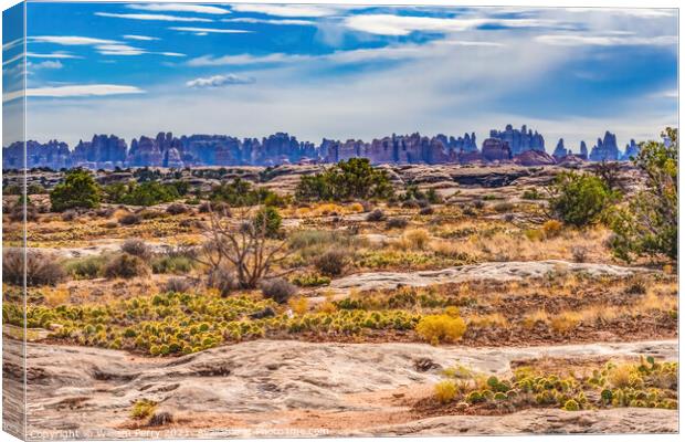 Sandstone Spires Canyonlands Needles District Utah Canvas Print by William Perry