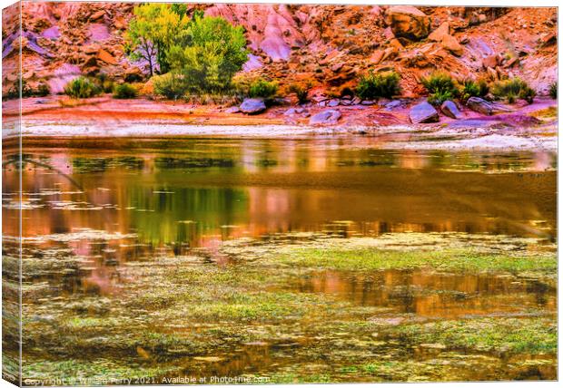 Indian Creek Reflection Red Cliff Canyonlands Needles Utah Canvas Print by William Perry