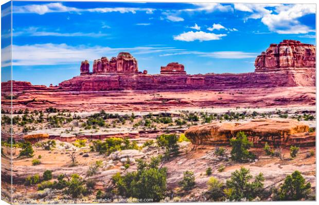 Wooden Shoe Arch Pink Buttes Canyonlands Needles Utah Canvas Print by William Perry