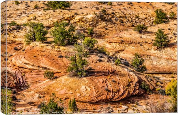 Rock Patterns Near Shoe Arch Canyonlands Needles Utah Canvas Print by William Perry