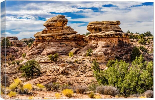 Rock Fromations Near Shoe Arch Canyonlands Needles Utah Canvas Print by William Perry