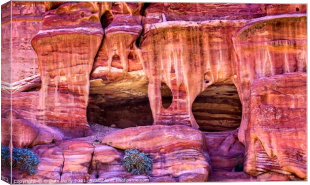 Rose Red Rock Tombs Street of Facades Petra Jordan  Canvas Print by William Perry