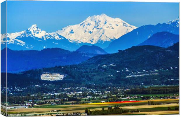 Snowy Mount  Baker at Tulip Time  Canvas Print by William Perry