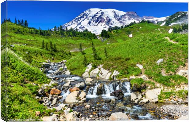 Wildflowers Edith Creek Paradise Mount Rainier National Park Was Canvas Print by William Perry