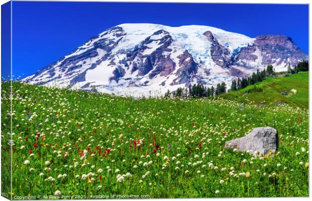 Bistort Indian Paintbrush Wildflowers Paradise Mount Rainier Nat Canvas Print by William Perry