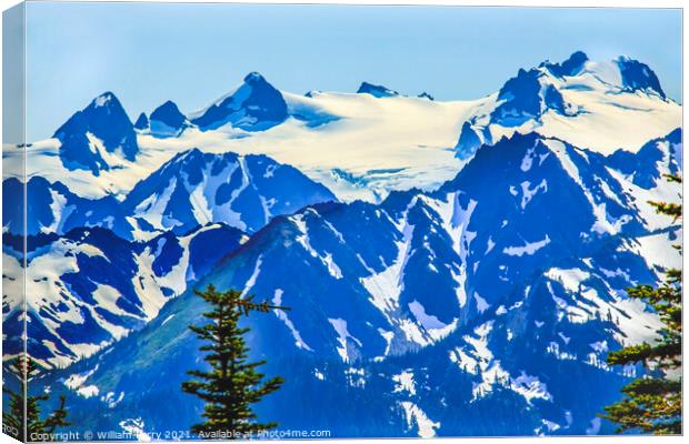 Mount Olympus Snow Mountains Hurricane Ridge Olympic Park Washin Canvas Print by William Perry