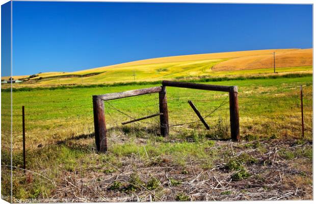 Farm Green Yellow Wheat Grass Fence Blue Skies Palouse Washingto Canvas Print by William Perry