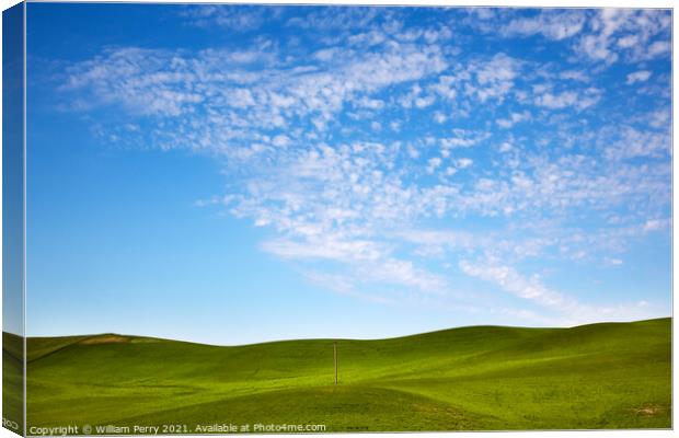 Green Wheat Grass Blue Skies Telephone Pole Palouse Washington  Canvas Print by William Perry