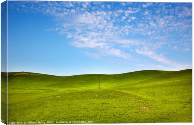 Green Wheat Grass Blue Skies Telephone Pole Palouse Washington  Canvas Print by William Perry