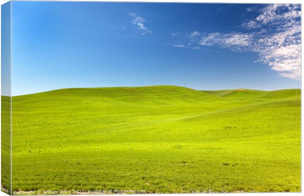 Green Wheat Grass Blue Skies Palouse Washington State Canvas Print by William Perry