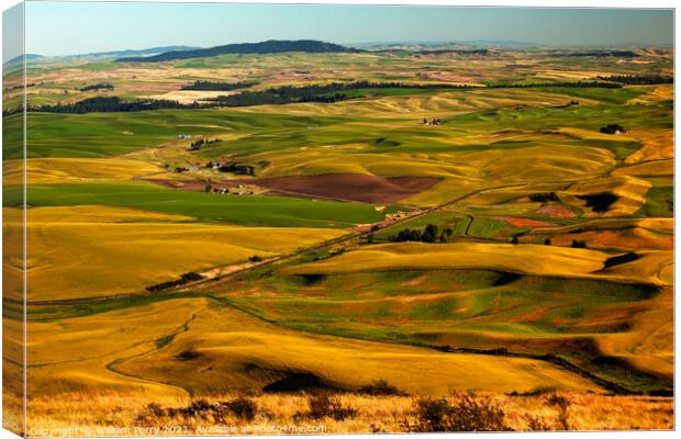 Red Farms Yellow Green Wheat Fields and Farms Palouse Washington Canvas Print by William Perry