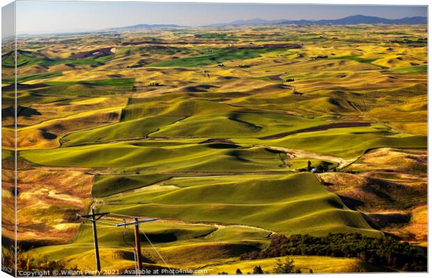 Green Wheat Grass Palouse Washington State Canvas Print by William Perry