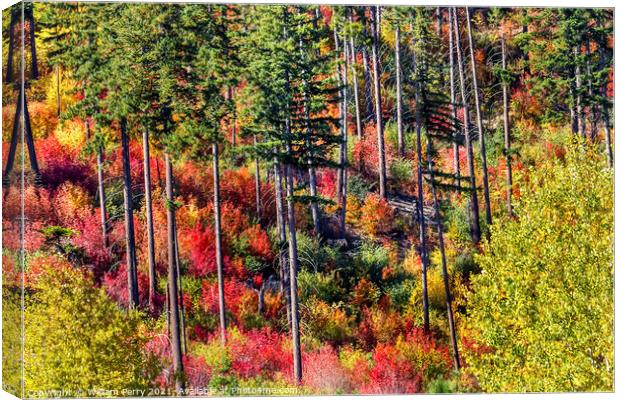 Fall Colors Mountain Sides Forest Stevens Pass Washington Canvas Print by William Perry