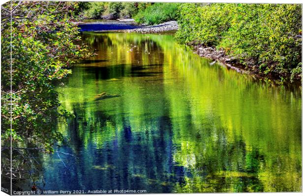 Summer Colors Green Reflection Wenatchee River Valley Washington Canvas Print by William Perry