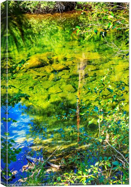Summer Colors Green Blue Reflection Wenatchee River Valley Washi Canvas Print by William Perry