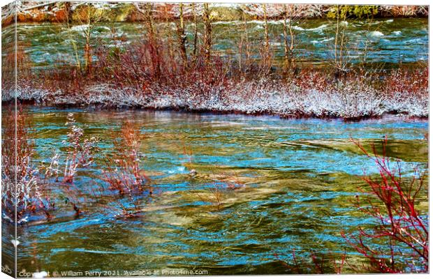Red Plants Winter Leaves Snow Ice Wenatchee River Valley Near St Canvas Print by William Perry