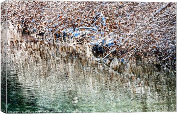 Winter Leaves Snow Ice  Abstract Wenatchee River Washngton Canvas Print by William Perry