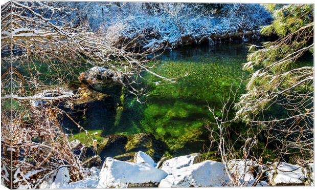 Winter Leaves Snow Ice  Wenatchee River Washington Canvas Print by William Perry