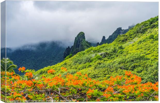 Colorful Green Mountains Orange Flame Tree Moorea Tahiti Canvas Print by William Perry