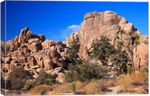 Hidden Valley Rock Yucca  Brevifolia Mojave Desert Joshua Tree N Canvas Print by William Perry
